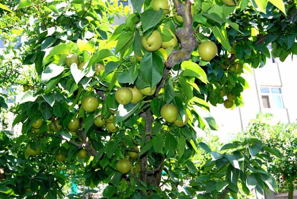 凯时登录·(中国区)官方网站